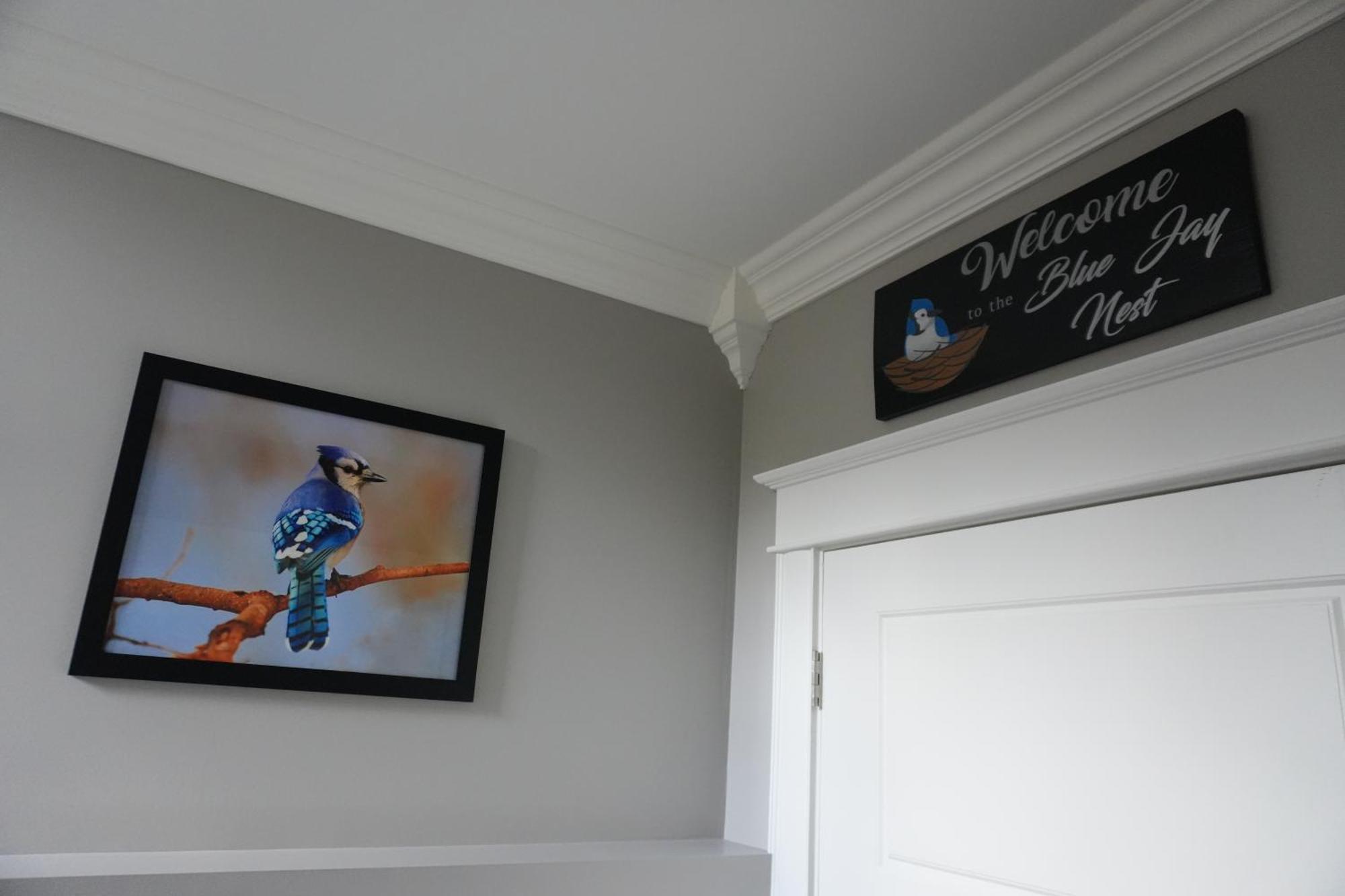 The Blue Jay Nest