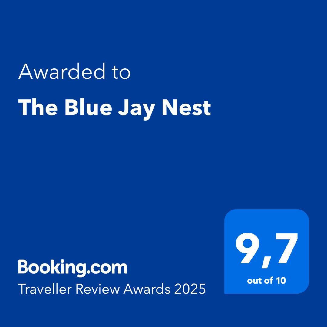 Homestay The Blue Jay Nest